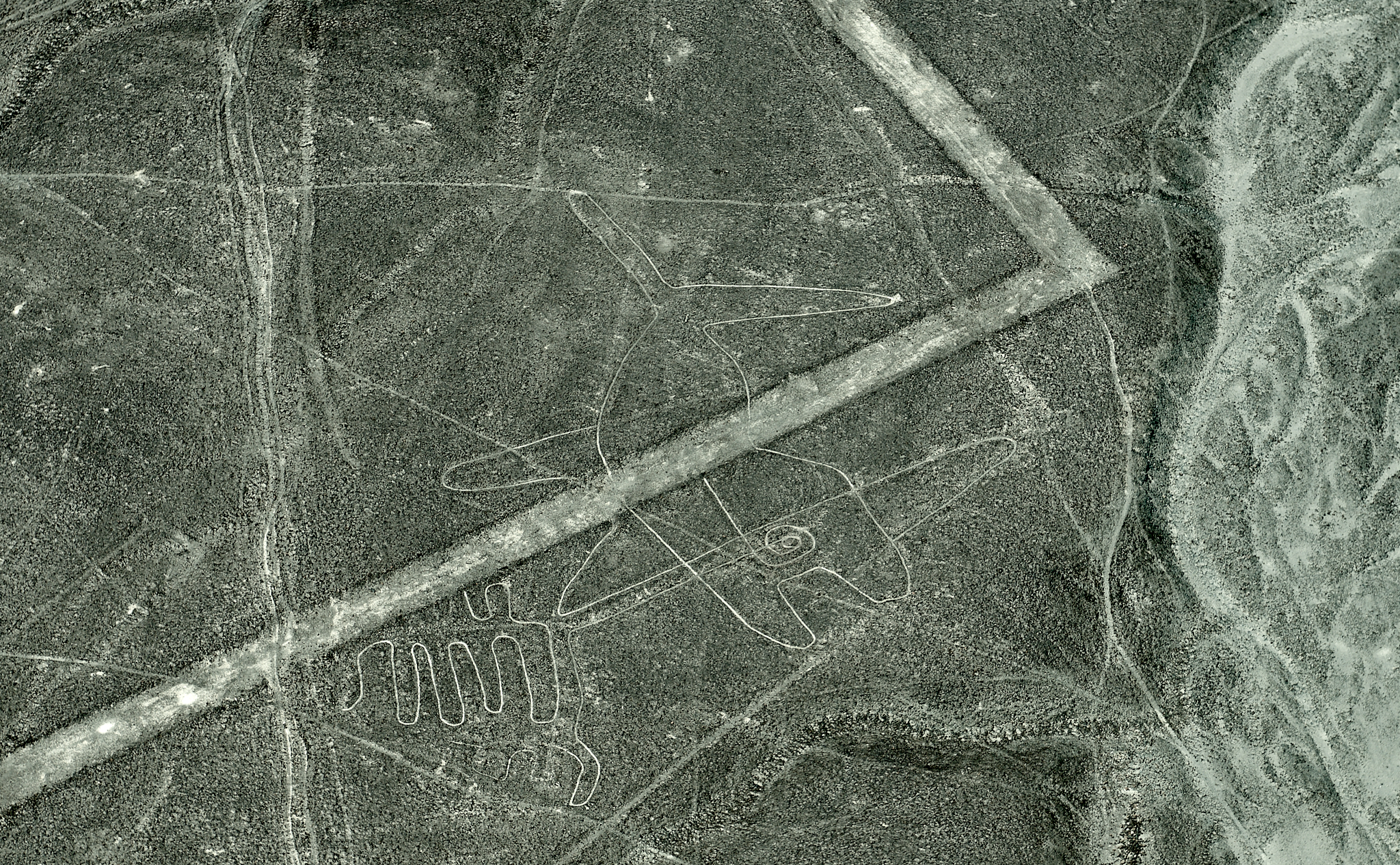 20200305 248 [페루] 나스카 라인